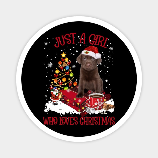 Chocolate labrador store hot sale
